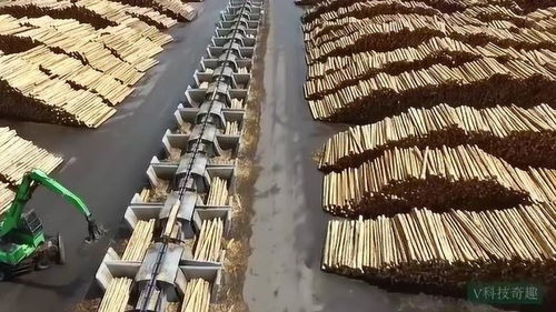 沙坪坝区罗祥敏食品经营部地址在哪里，老师
